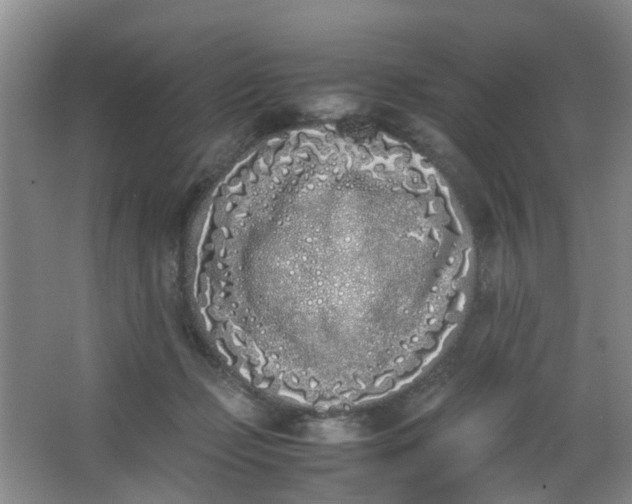 X0000062930365200601271838