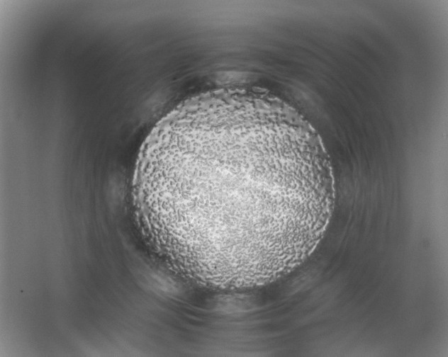 X0000062930367200601271838