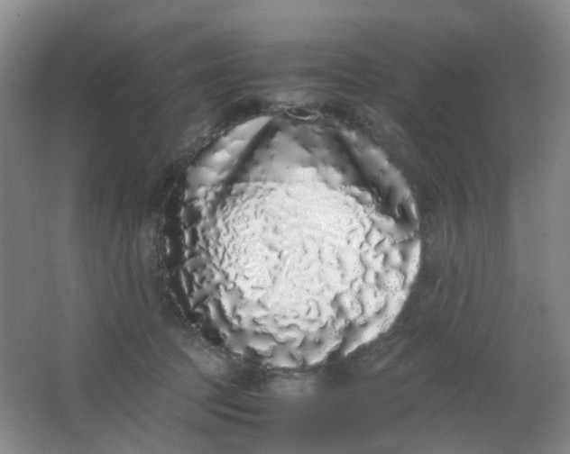 X0000062930369200601271838