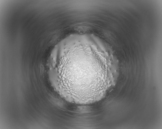 X0000062930371200601271838