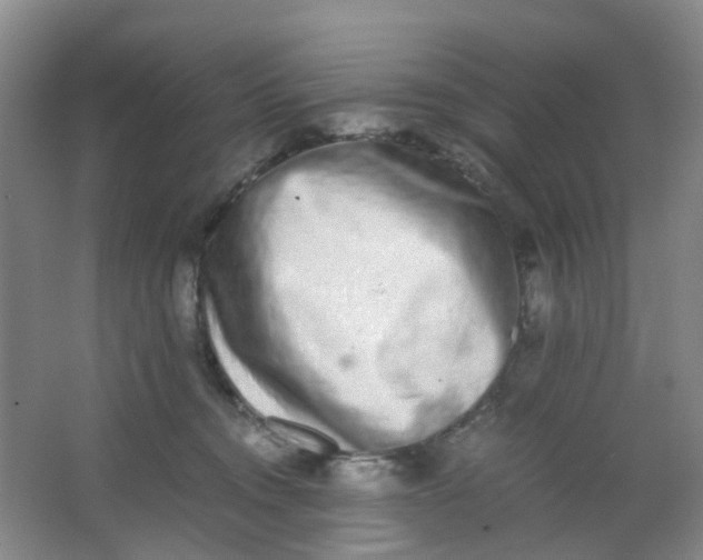 X0000062930372200601271838