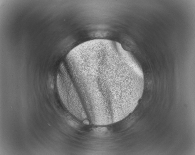 X0000062930374200601271838