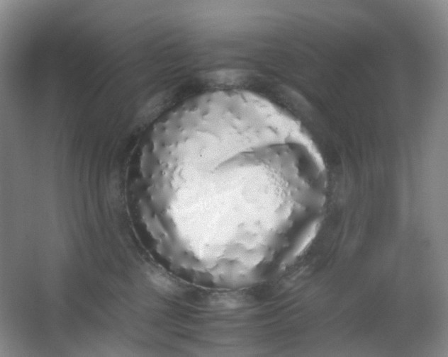 X0000062930377200601271838