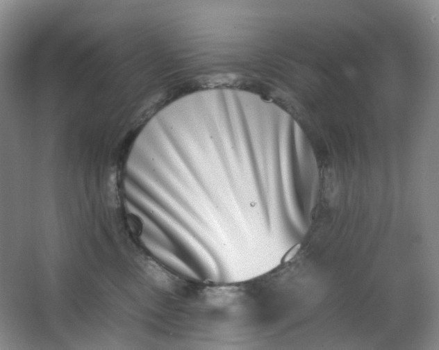 X0000062930378200601271838
