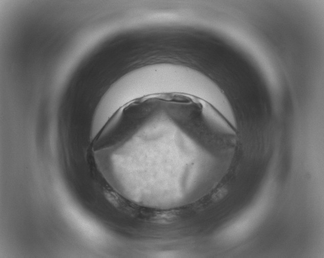 X0000062930382200601271838