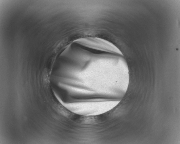 X0000062930384200601271838