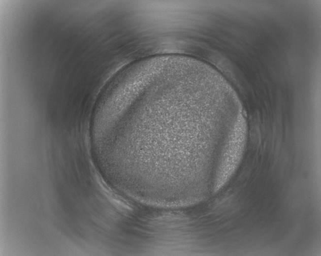 X0000062930386200601271837