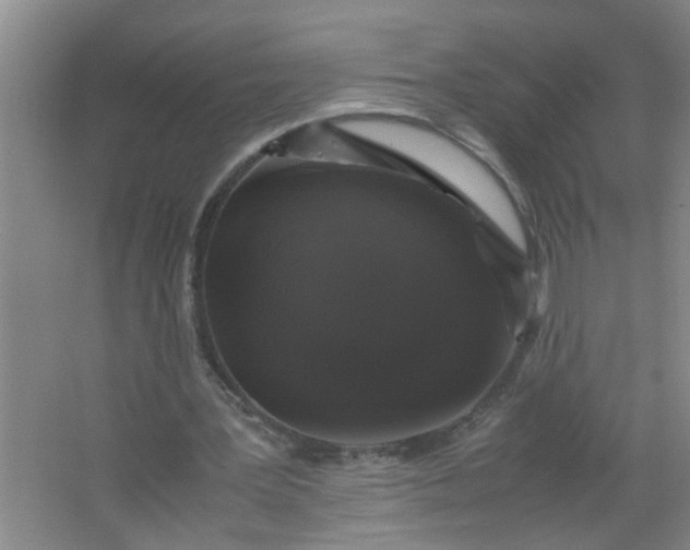 X0000062930387200601271837