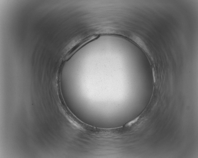 X0000062930389200601271837