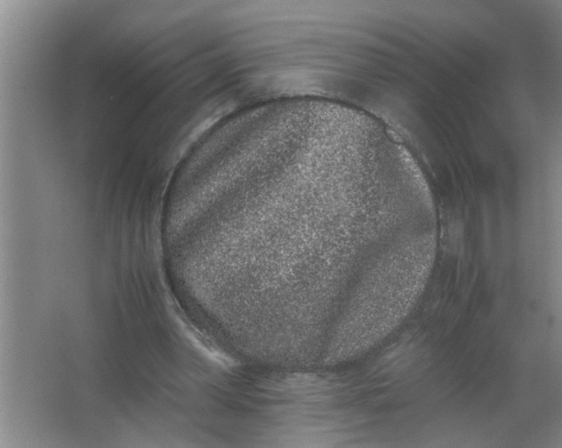 X0000062930390200601271837