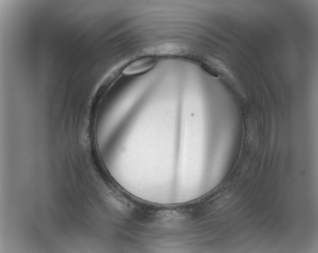 X0000062930392200601271837