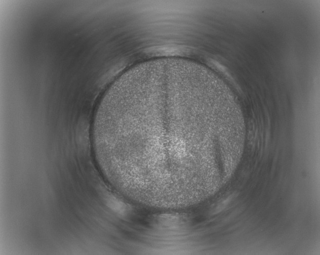 X0000062930394200601271837