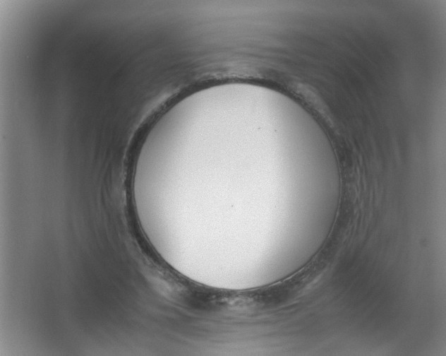 X0000062930395200601271837