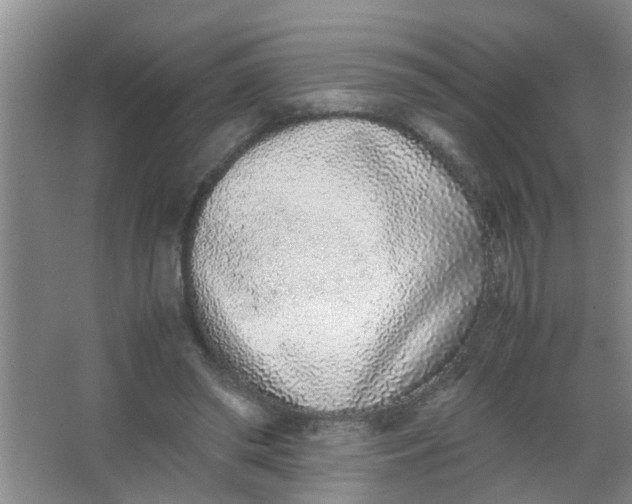 X0000062930398200601271837