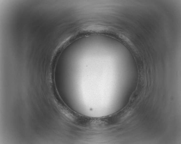 X0000062930399200601271837