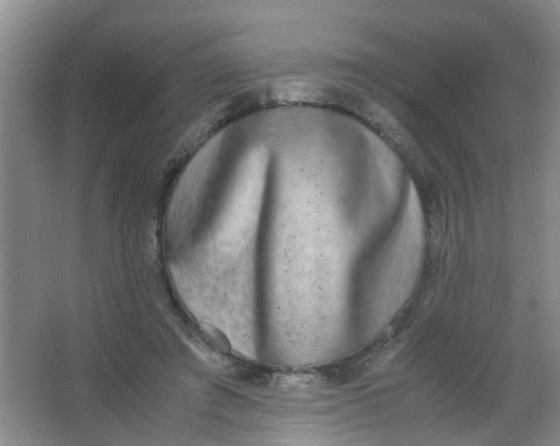 X0000062930401200601271837