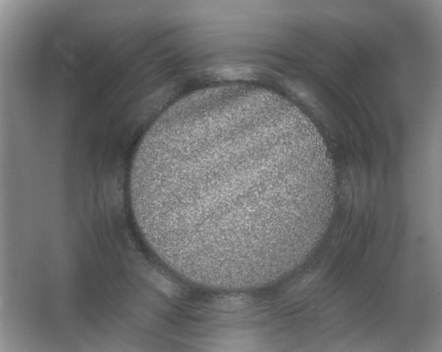 X0000062930402200601271837