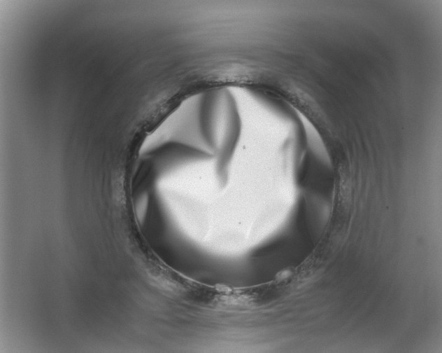 X0000062930403200601271837