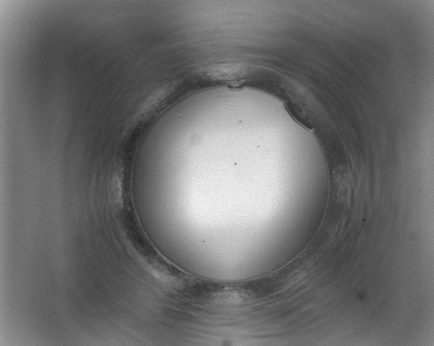 X0000062930404200601271837