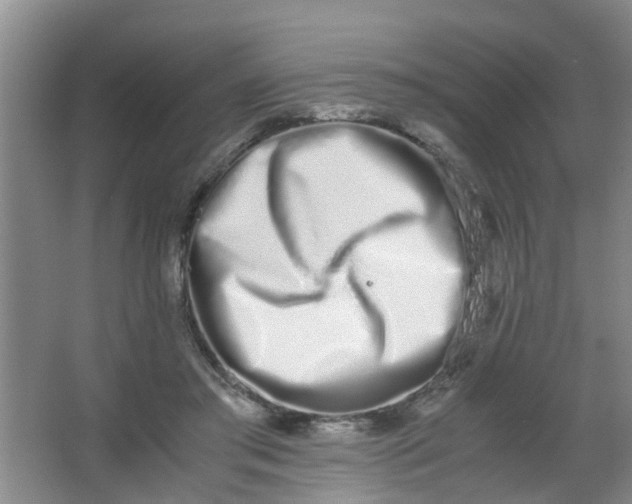 X0000062930405200601271837