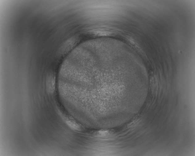 X0000062930406200601271837