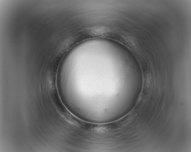 X0000062930408200601271837