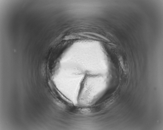 X0000062930409200601271837