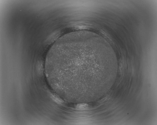 X0000062930410200601271837