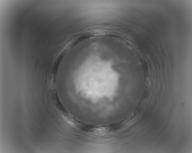 X0000062930411200601271837