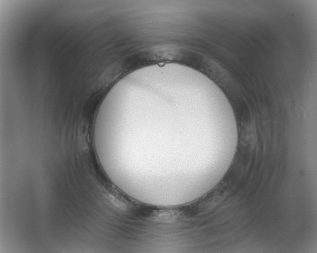 X0000062930414200601271837