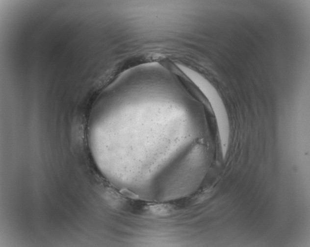 X0000062930417200601271837