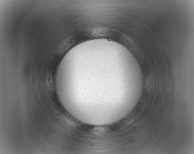 X0000062930418200601271837