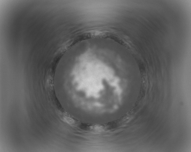 X0000062930419200601271837