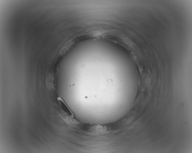 X0000062930421200601271837