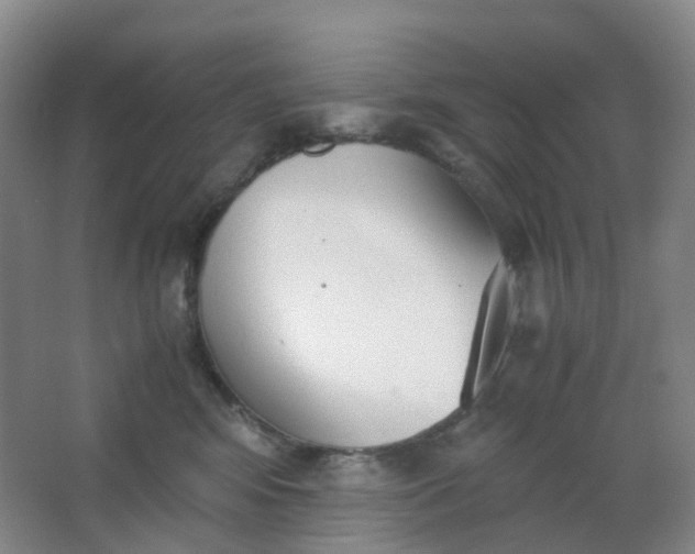 X0000062930424200601271837