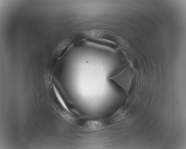 X0000062930429200601271837