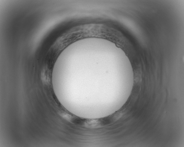 X0000062930431200601271837