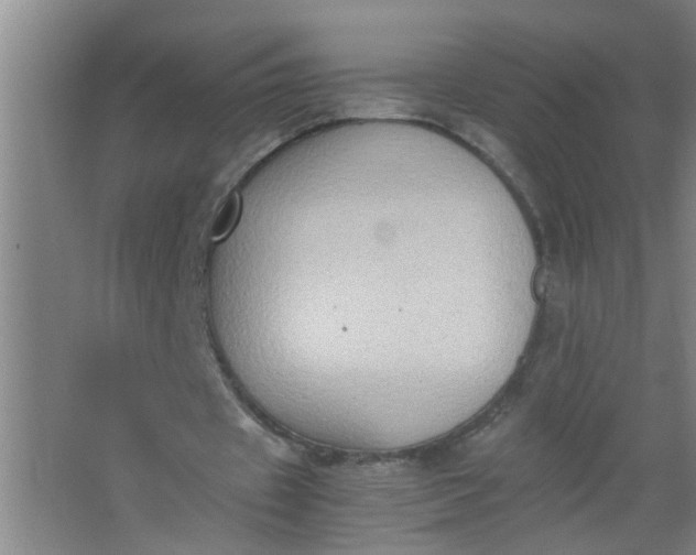 X0000062930433200601271836