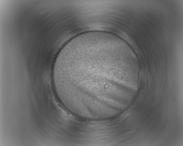 X0000062930434200601271836