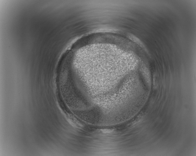 X0000062930436200601271836