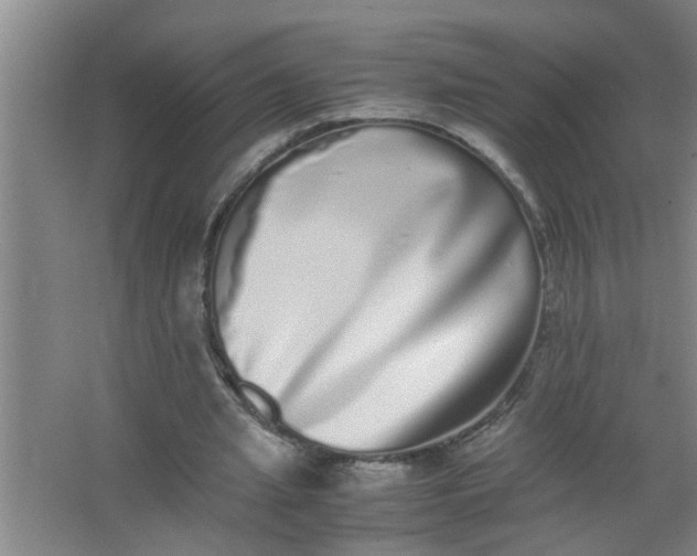 X0000062930437200601271836