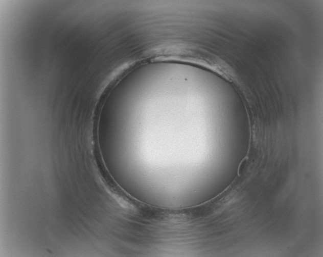 X0000062930438200601271836