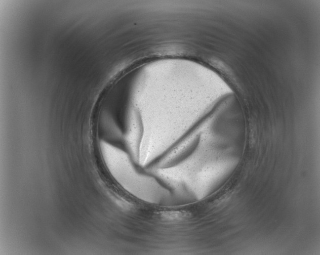 X0000062930439200601271836