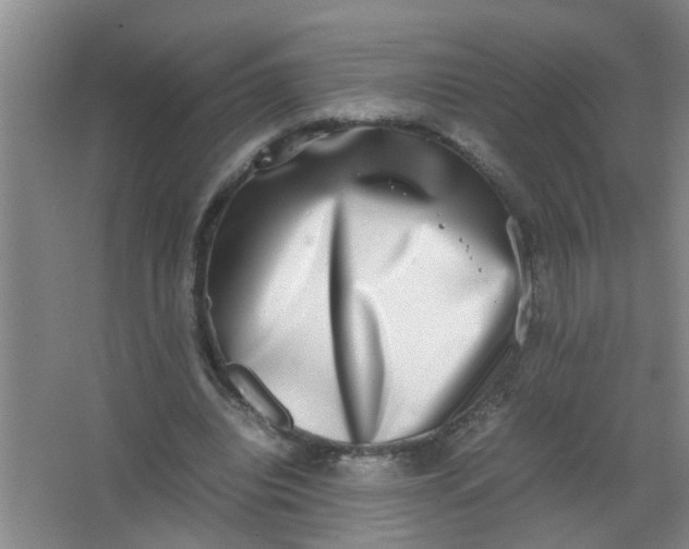 X0000062930440200601271836