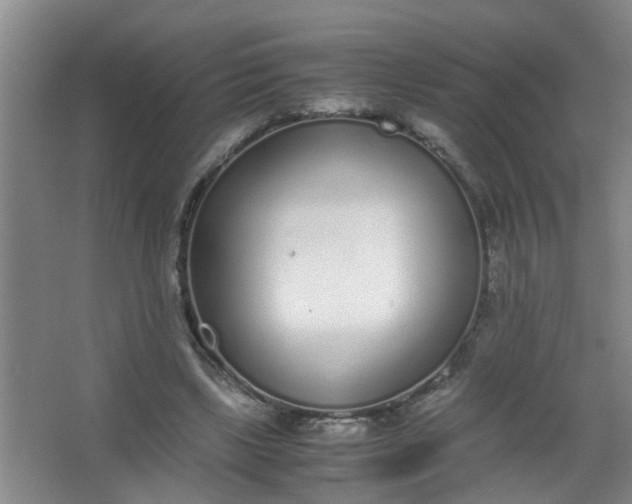 X0000062930443200601271836