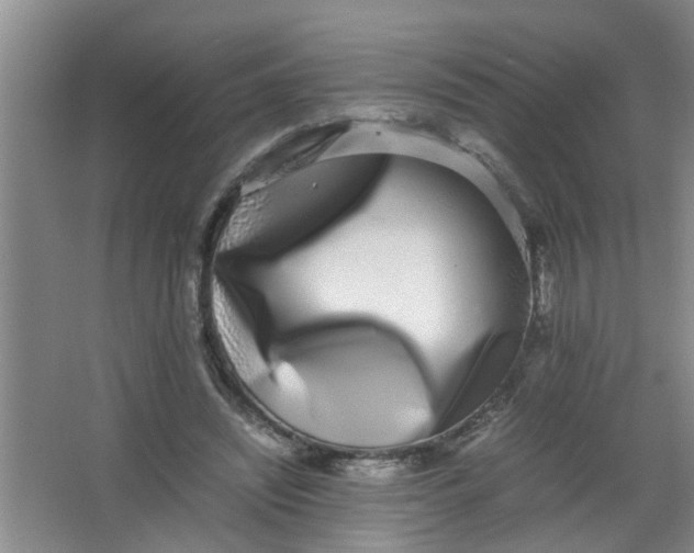 X0000062930444200601271836