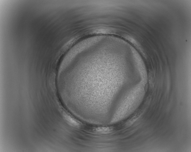 X0000062930445200601271836