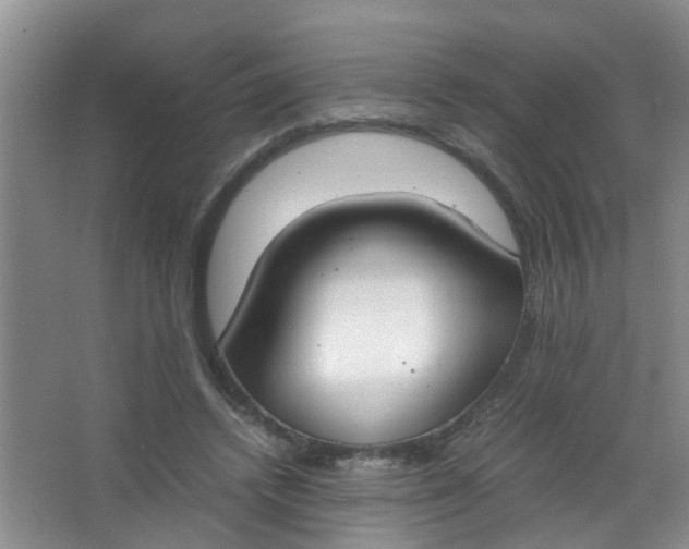 X0000062930448200601271836