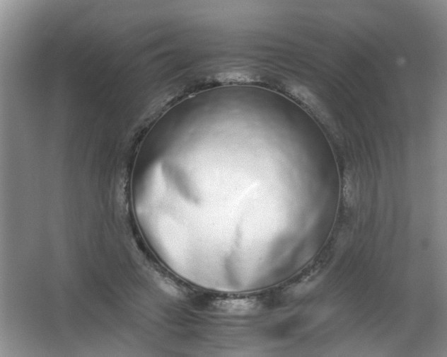 X0000062930449200601271836