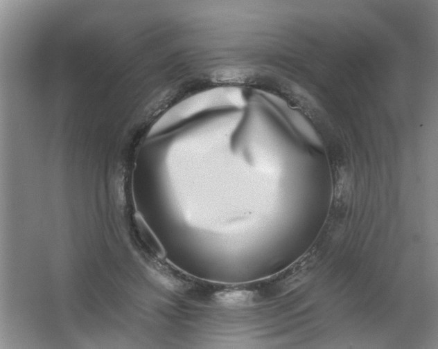 X0000062930452200601271836